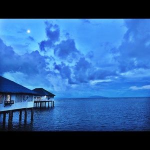 Meet your Posher, Rosalinda